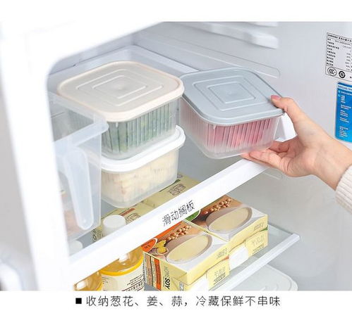 創意廚房好物 點亮烹飪樂趣，提升家居幸福感